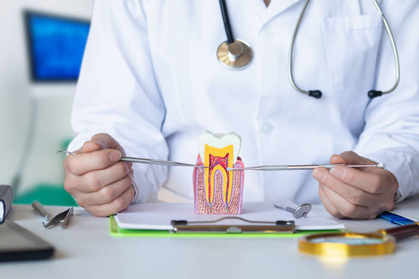Best Chipped Tooth Repair Near Me  in Farngton, MI